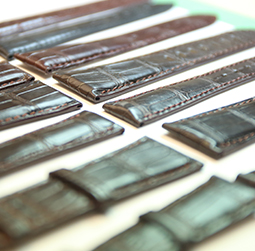 圖2-醫美名偵探-用戶-蕭邦維修中心